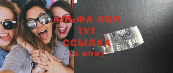 прущие грибы Краснослободск