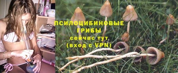 дурь Краснотурьинск