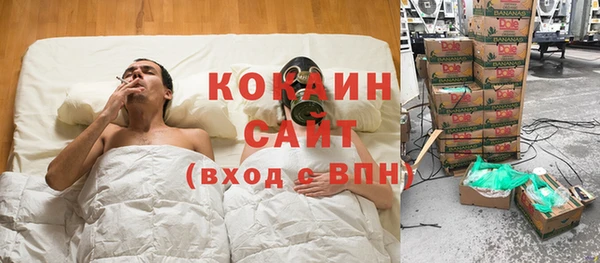 прущие грибы Краснослободск