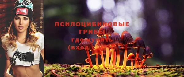 прущий лед Кулебаки