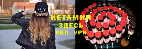 прущие грибы Краснослободск