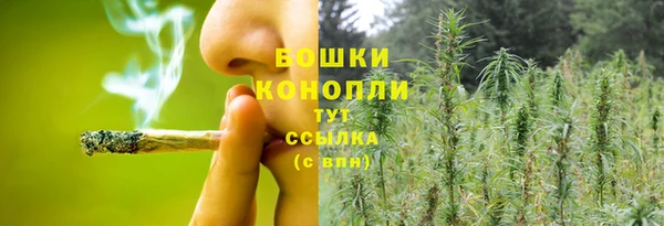 дурь Краснотурьинск